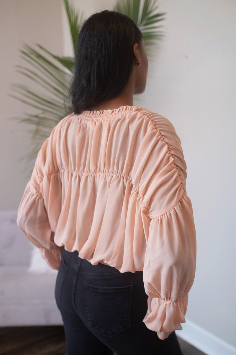 Belle Chiffon Ruched Top Blush